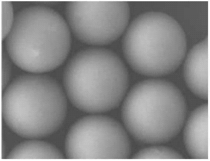 High-temperature resistant polyphosphazene microsphere and preparation method thereof