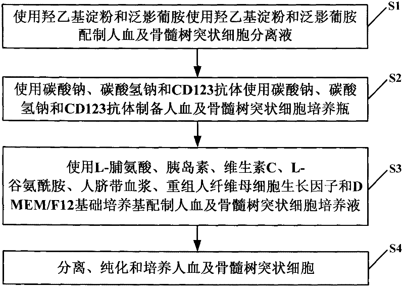 Method for separating, purifying and culturing human blood and marrow dendritic cells