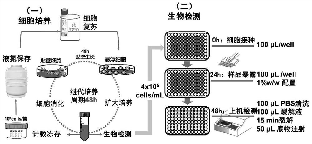 Method for Quantitative Detection of Dioxins and Screening of Aryl Hydrocarbon Receptor Active Substances Using Reporter Gene Recombinant Cells