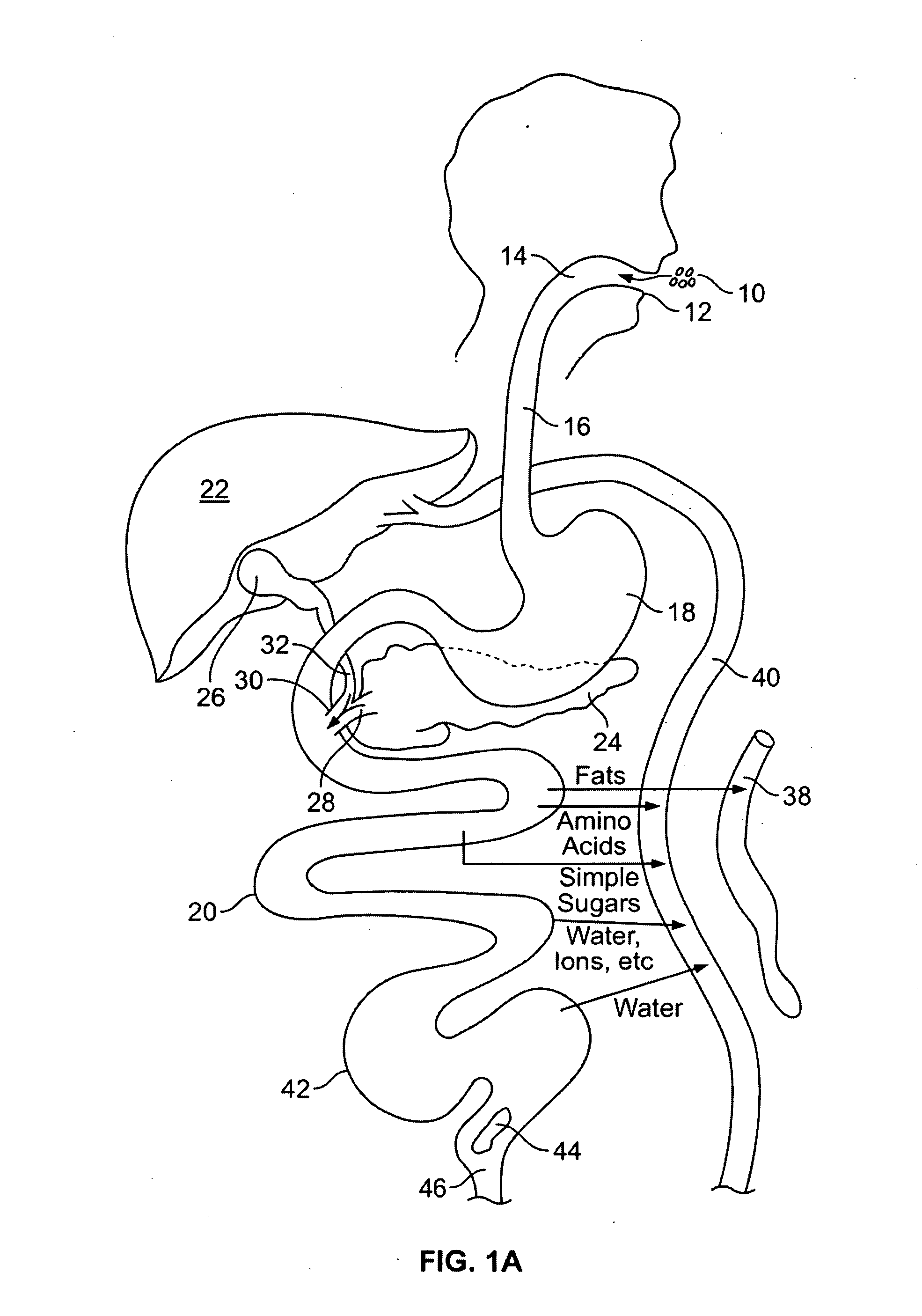 Gastrointestinal implant and methods for use