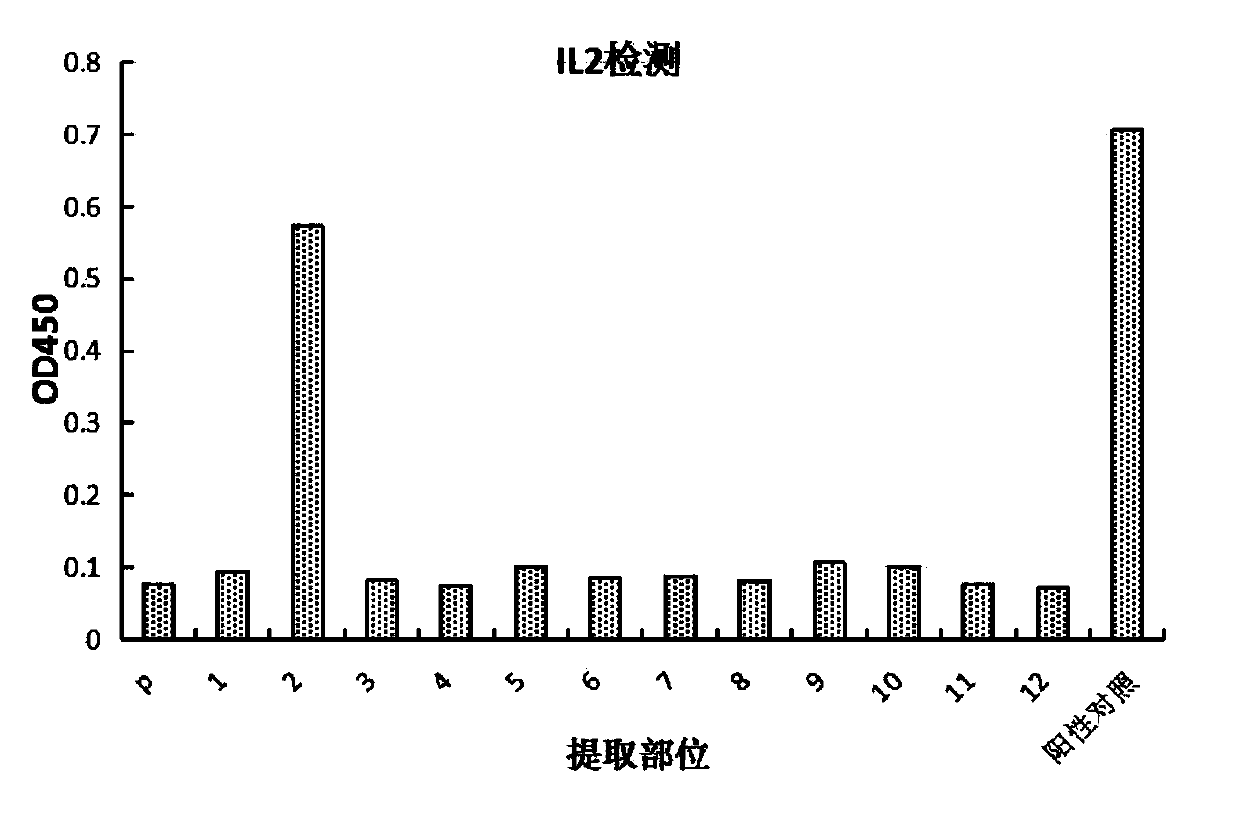 Method for preparing PD-1/PD-L1 inhibitor from clematis tangutica