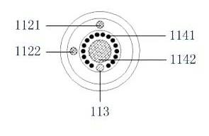 Video peephole viewer alarm device