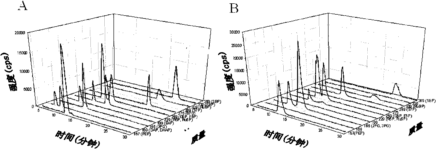 Modified cyanobacteria