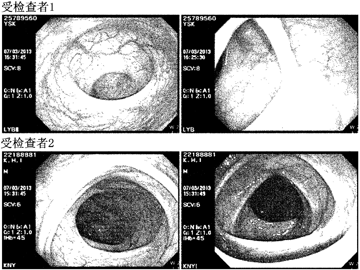 Purgative composition for cleansing intestinal tract