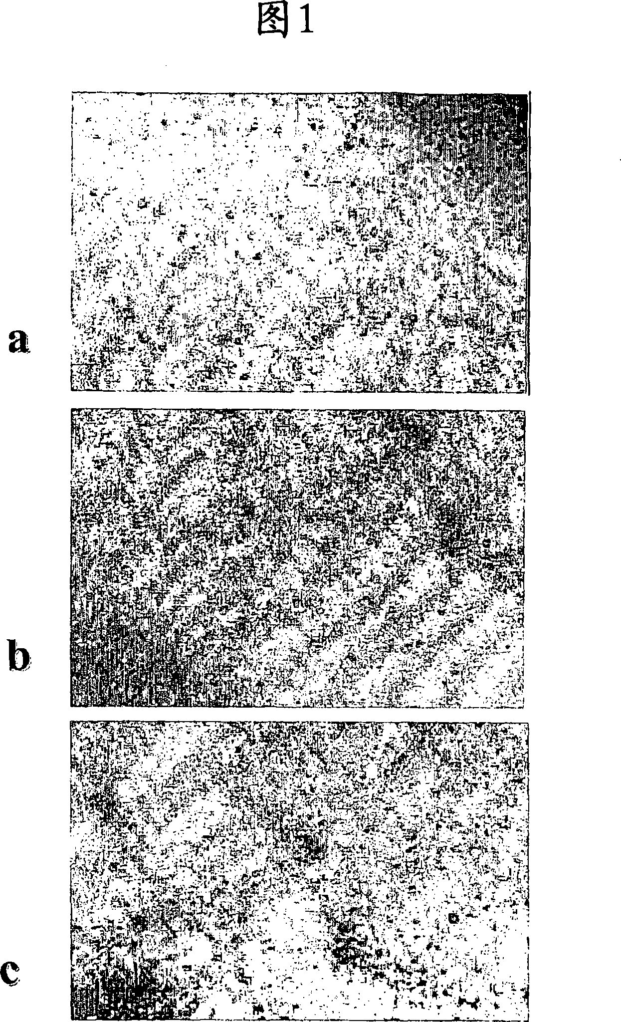 Cartilage and bone repair composition.