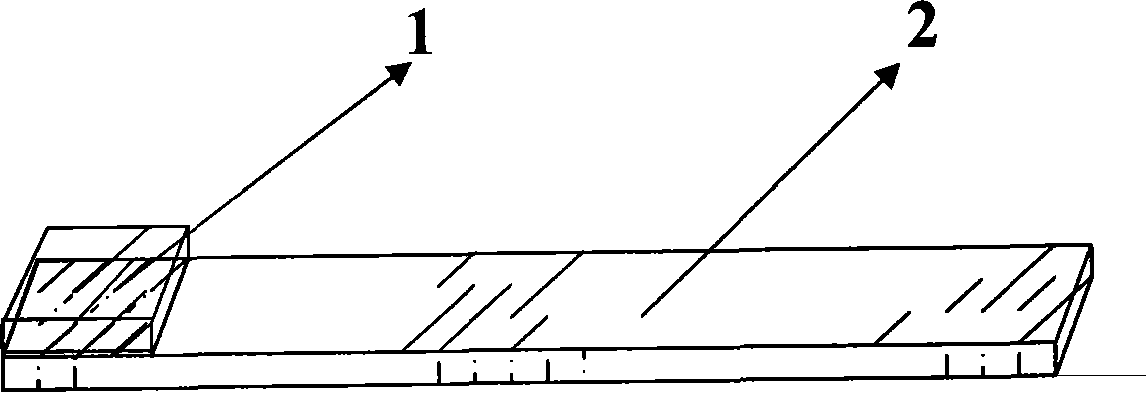 Subclinical ketosis of milk cattle diagnose indicator paper