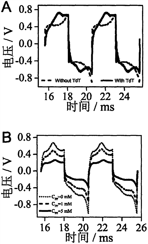 Electrochemical fast sweep voltammetry method with high-order repeatability and reproducibility and analysis application of electrochemical fast sweep voltammetry method