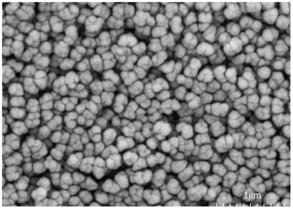 Method for preparing asymmetric polymer nanosphere