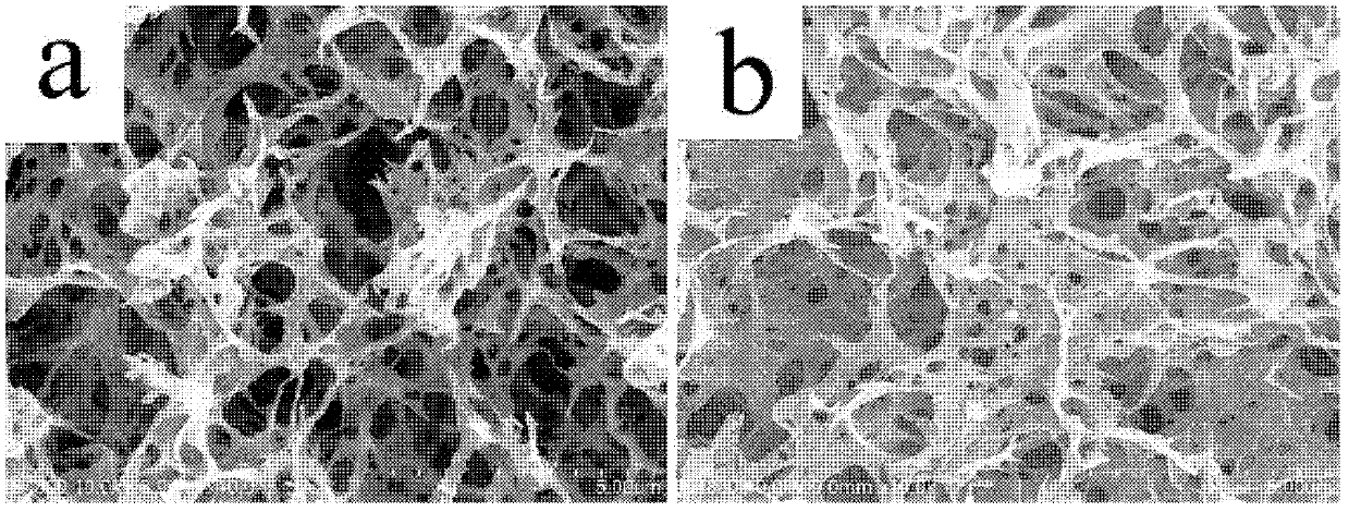 Poly(3,4-ethylenedioxythiophene)/sulfonated graphene composite hydrogel and preparation method thereof