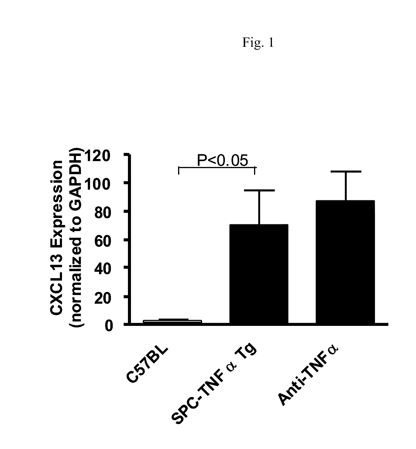 CXCL13 Antagonists and Their Use for the Treatment of Inflammatory Diseases