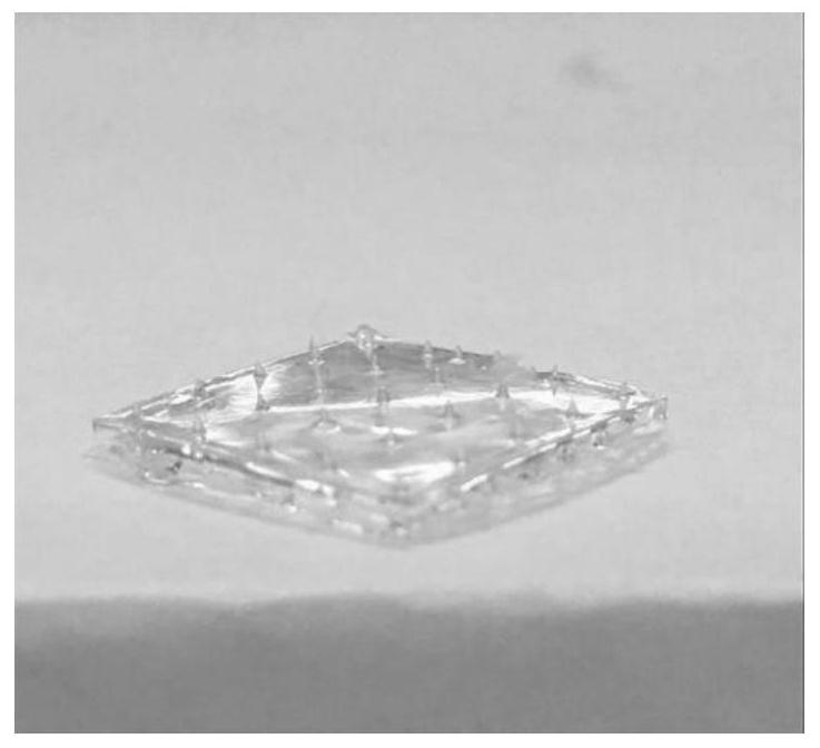 A kind of composite microneedle and microneedle patch