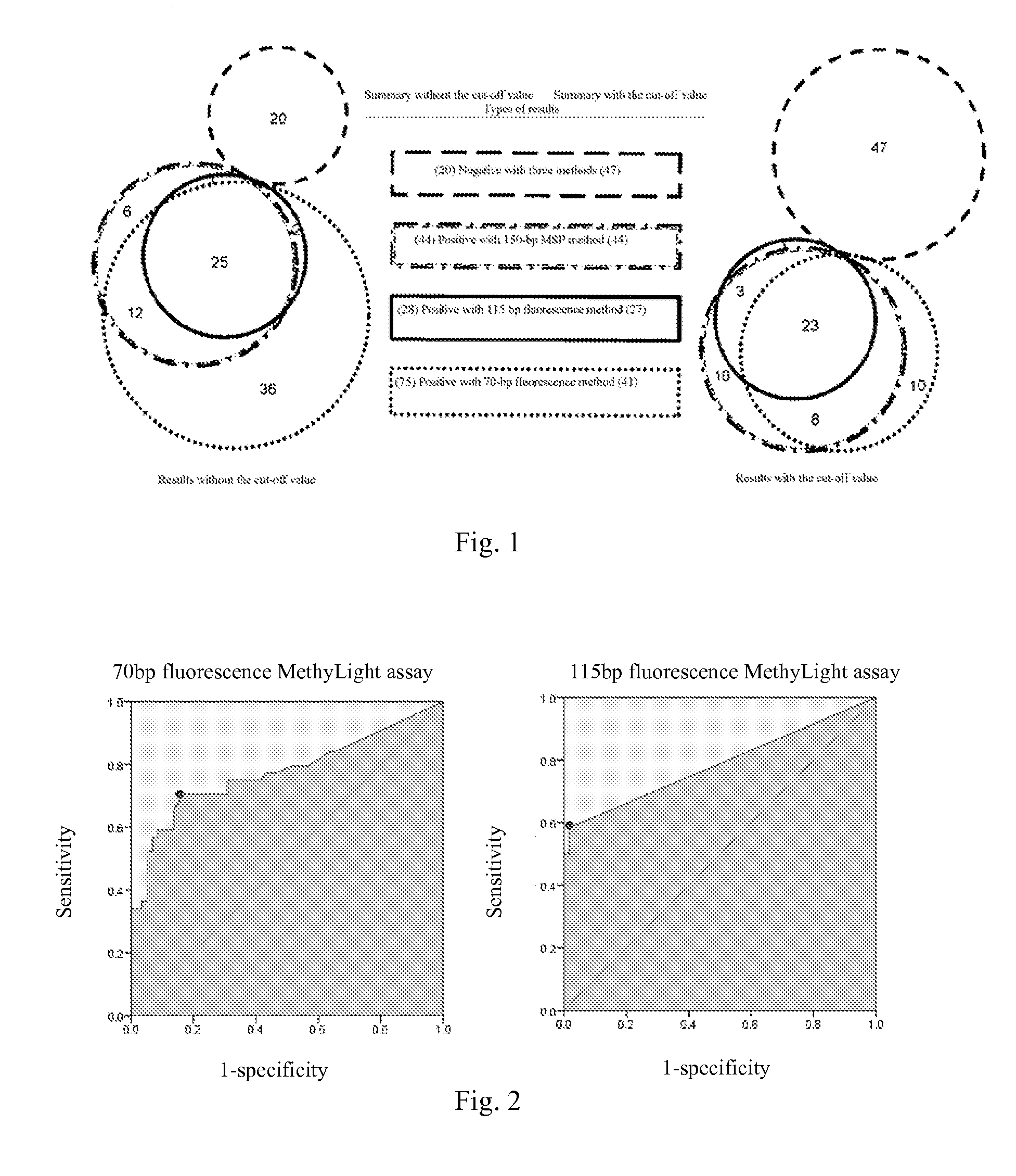 Primer group for detecting cpg island methylation of p16 gene using methylation- specific fluorescence technique