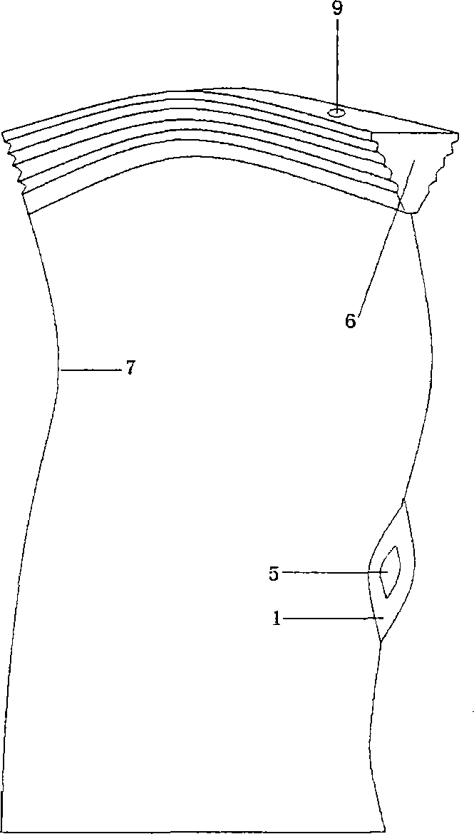 Vane-shaped scramjet engine