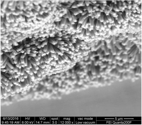 A method for preparing single-crystal anatase tio2 nanorod arrays with superhydrophilic properties