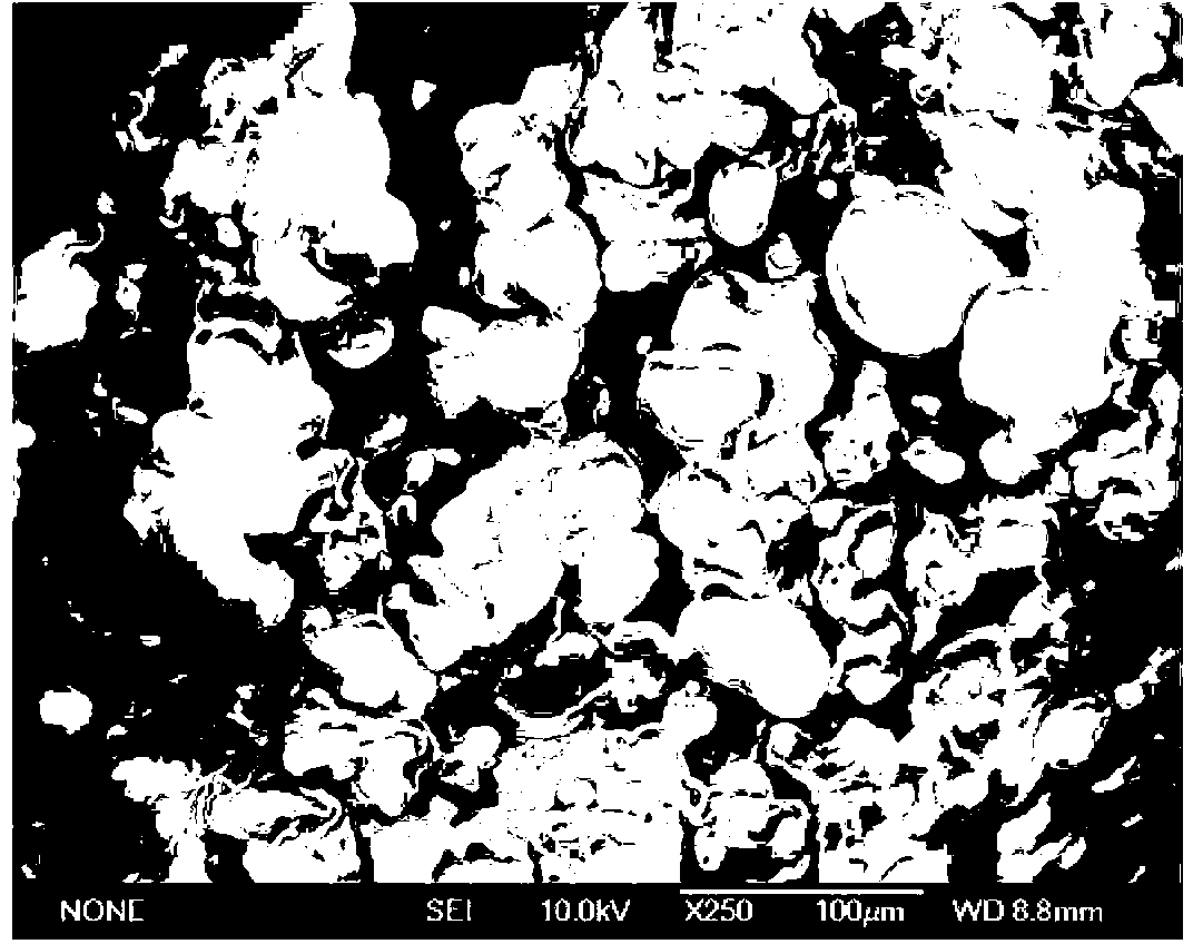 Method for preparing perilla oil powder through composite condensation microencapsulation