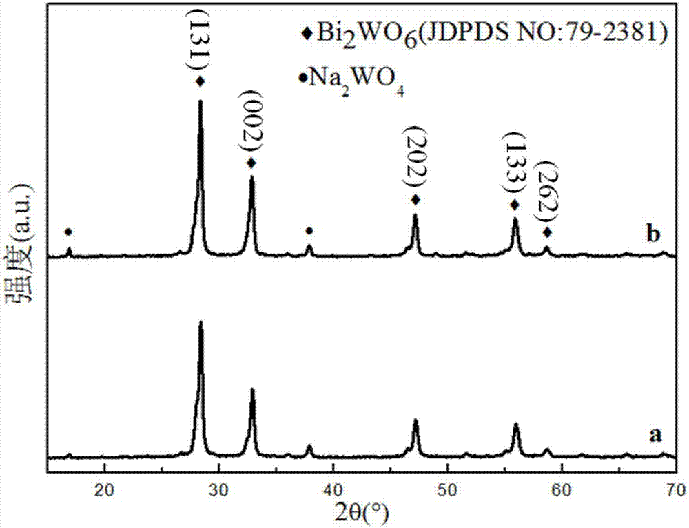 Porous lamellar-structured bismuth tungstate film as well as preparation method and application thereof