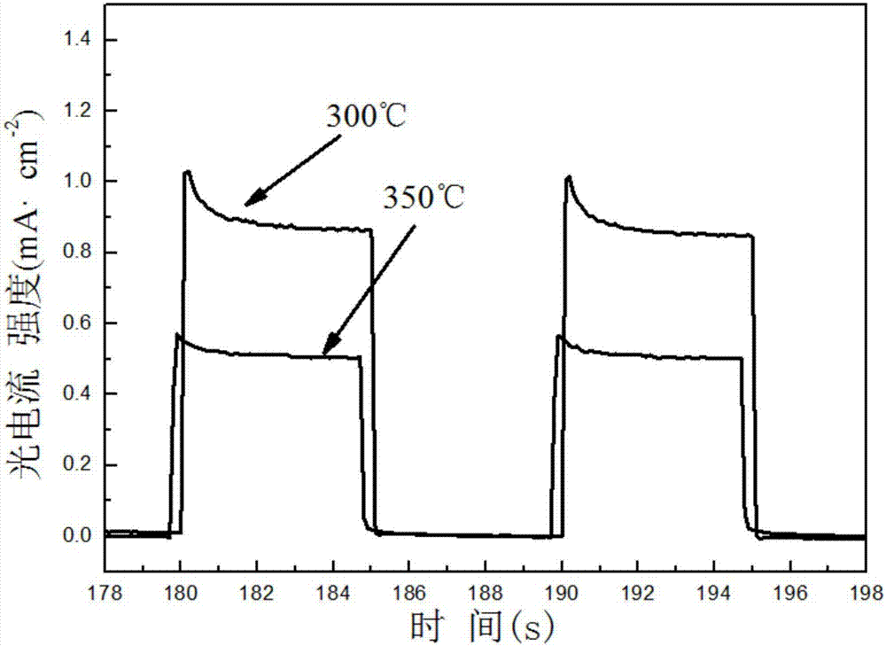 Porous lamellar-structured bismuth tungstate film as well as preparation method and application thereof