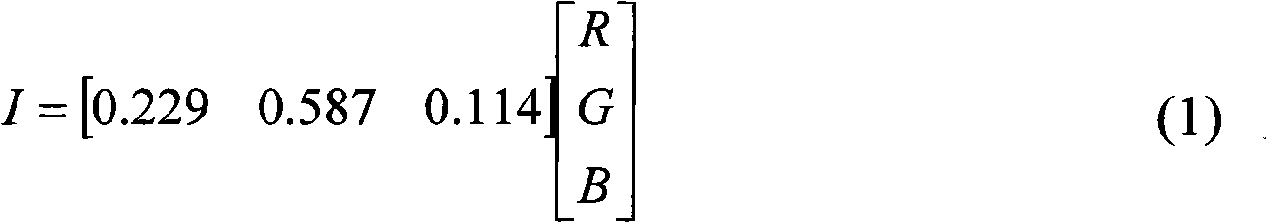 Method for staining digital image