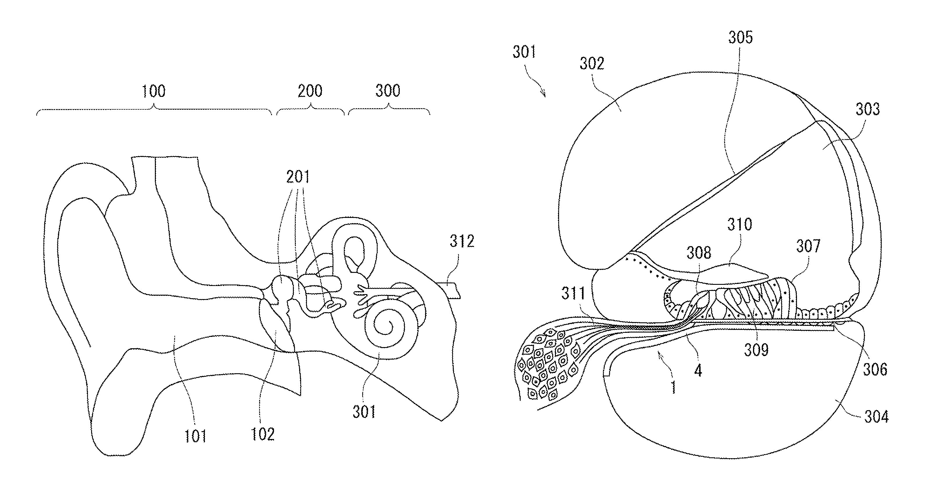 Artificial sensory epithelium