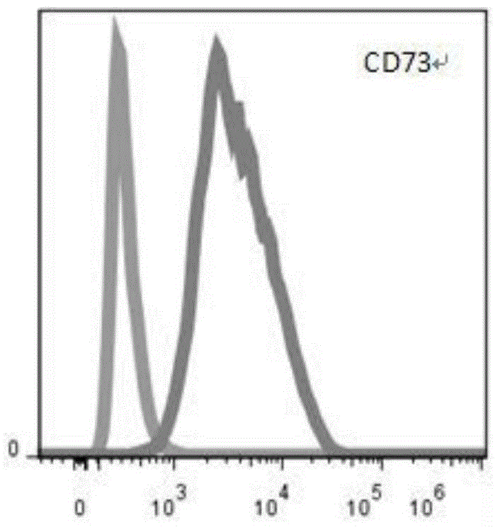 Method for differentiation of embryonic stem cells (ESC) into mesenchymal stem cells (MSC)