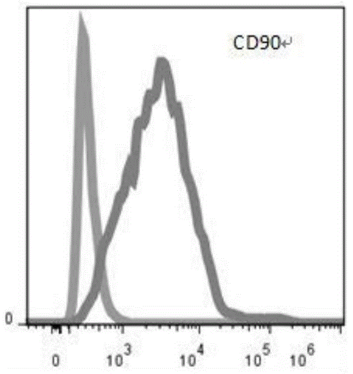 Method for differentiation of embryonic stem cells (ESC) into mesenchymal stem cells (MSC)