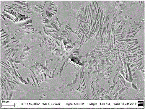 SrB4O7 seed crystal-containing electrical porcelain and preparation method thereof