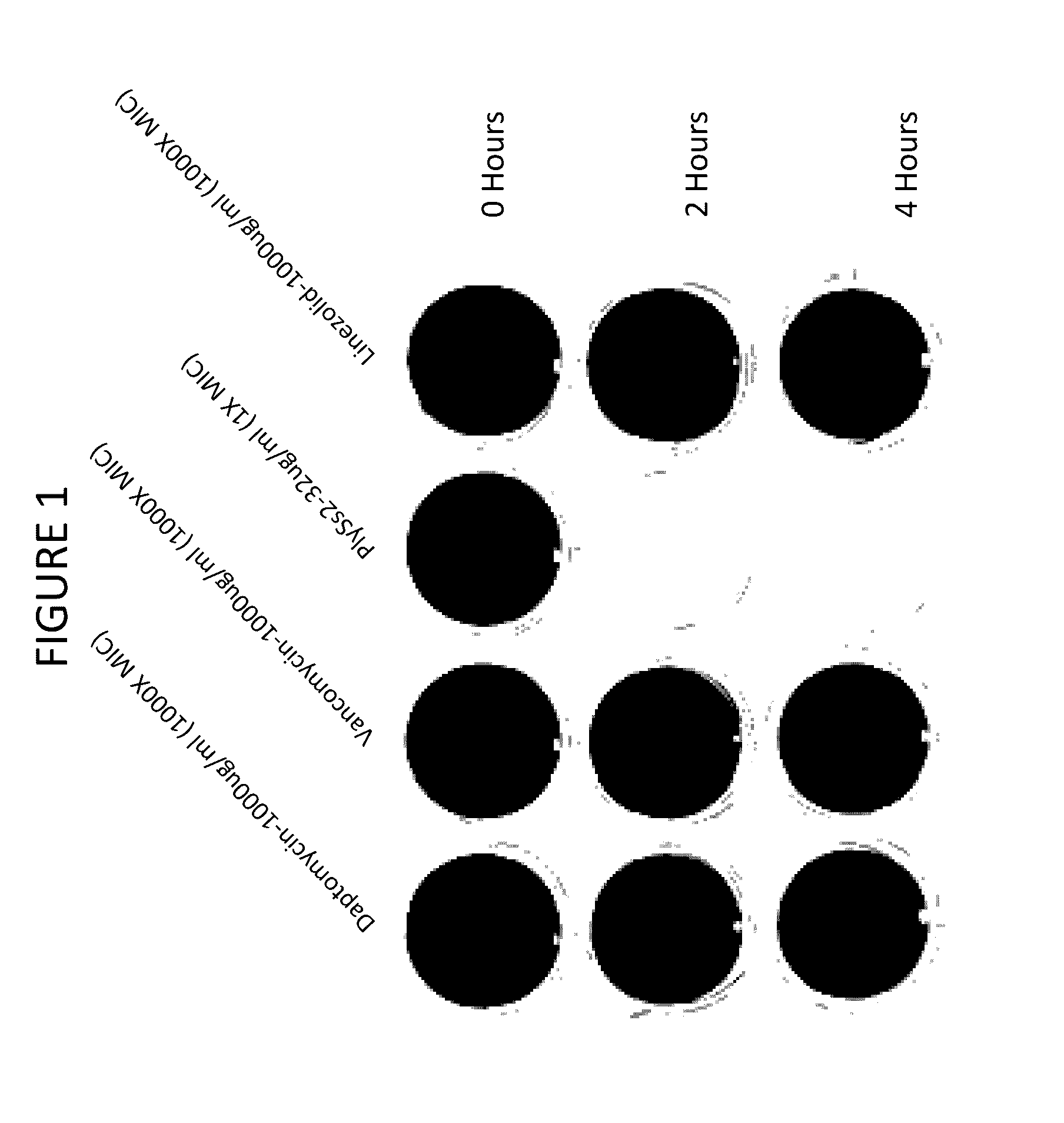 Biofilm prevention, disruption and treatment with bacteriophage lysin