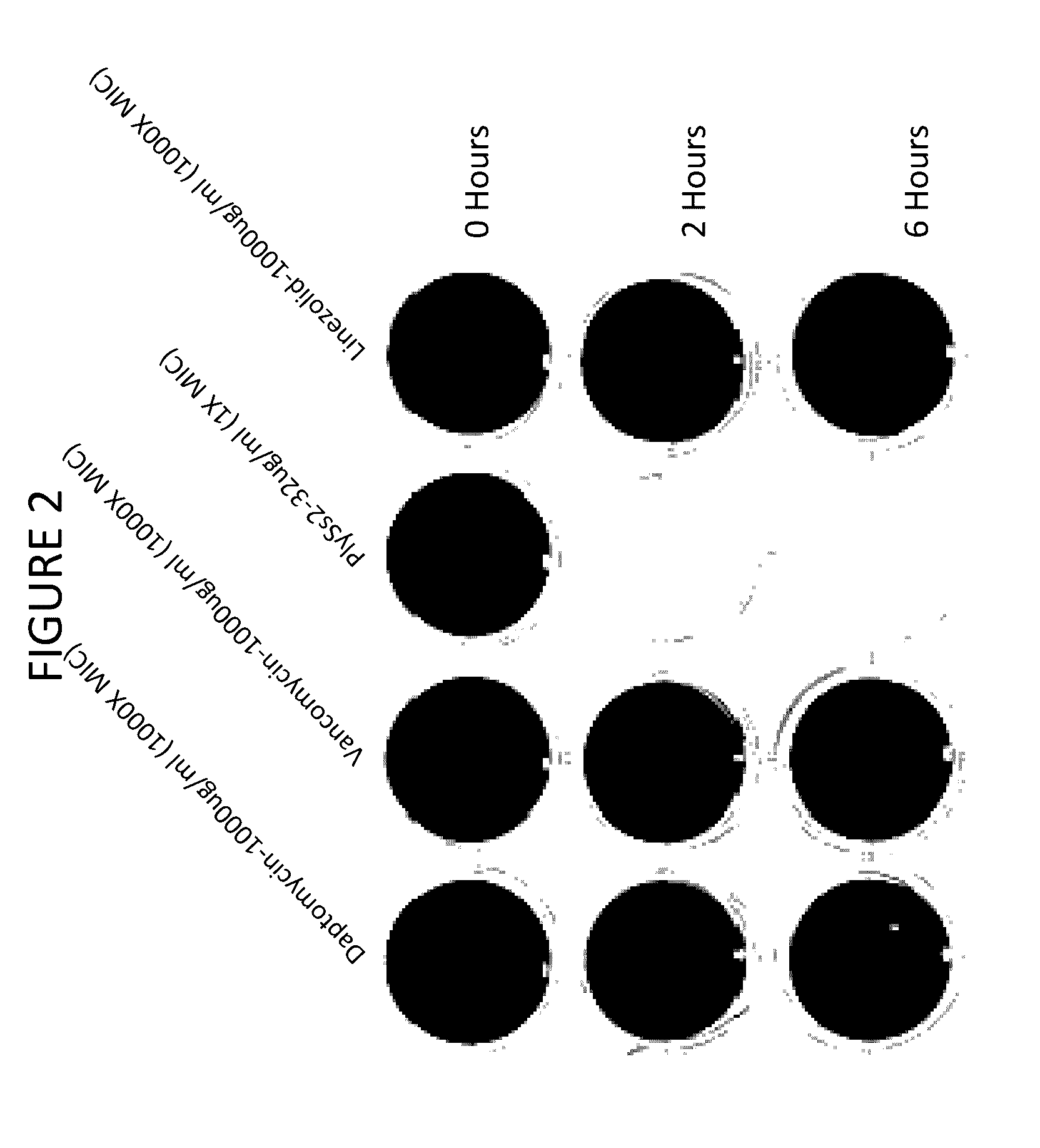 Biofilm prevention, disruption and treatment with bacteriophage lysin