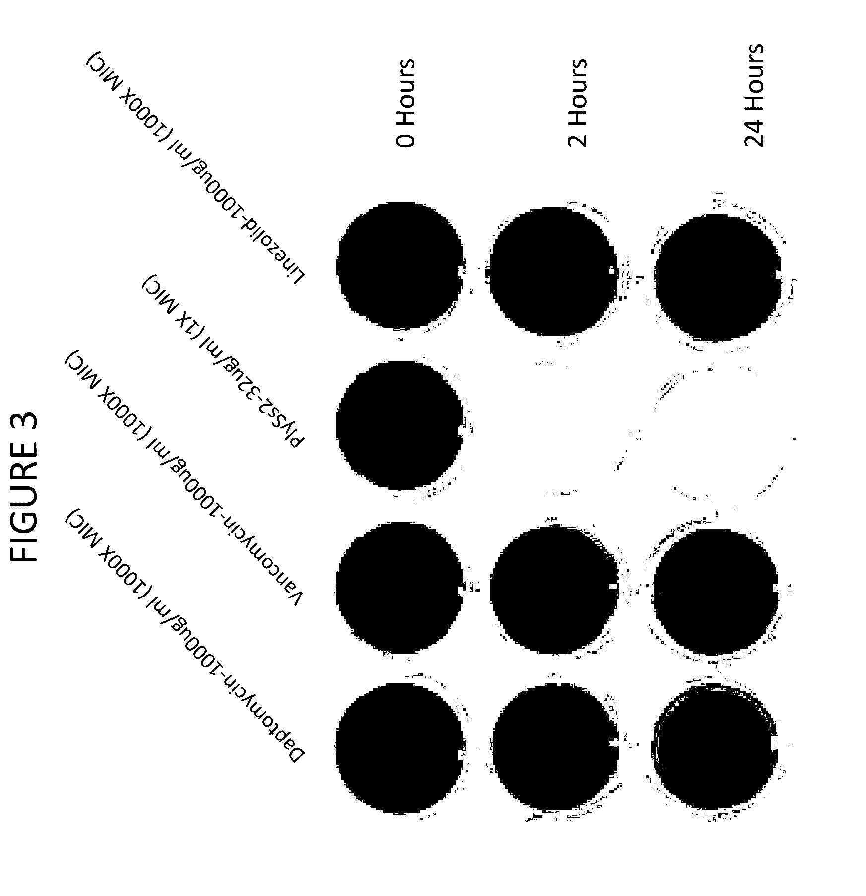 Biofilm prevention, disruption and treatment with bacteriophage lysin