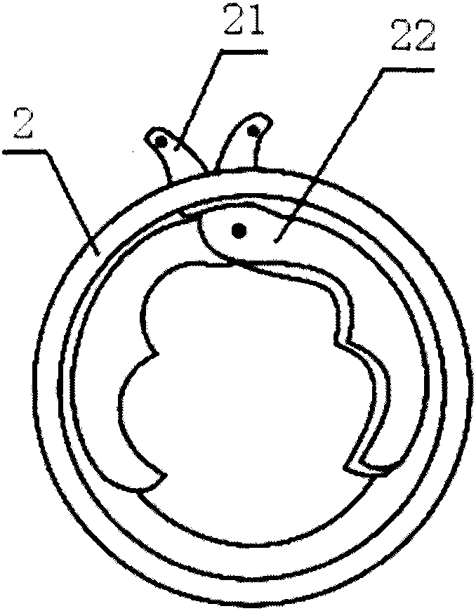 A semi-automatic gun type fruit bagging machine