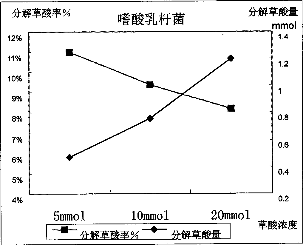 Application of edible lactobacillus in preventing urinary calculus