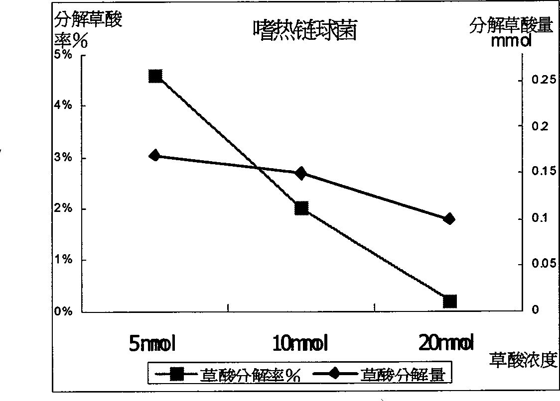 Application of edible lactobacillus in preventing urinary calculus