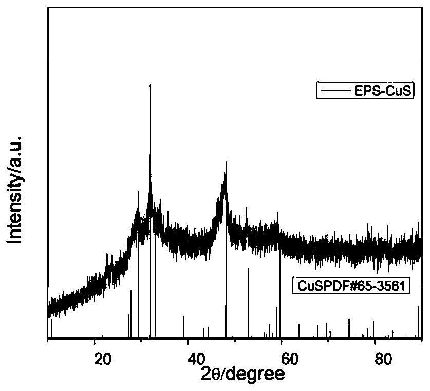 Biological preparation method of nano copper sulfide based on loading of zinc manganese ferrites