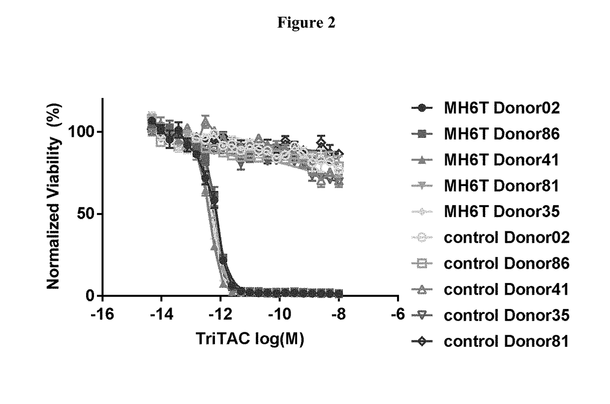 Mesothelin binding proteins