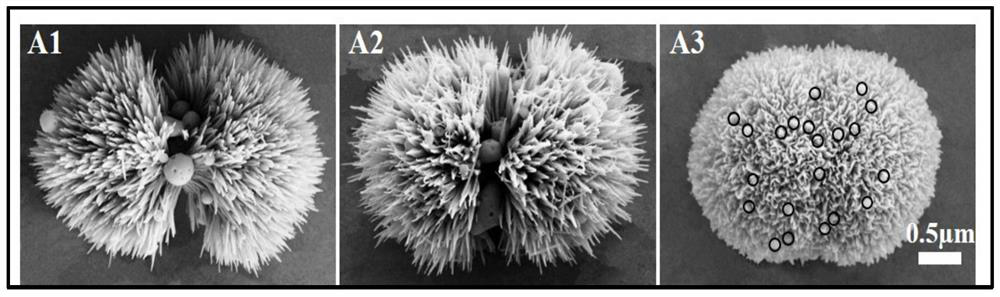 Multifunctional bionic HA particles loaded curcumin prodrug micro-nano composite material, preparation method and application thereof