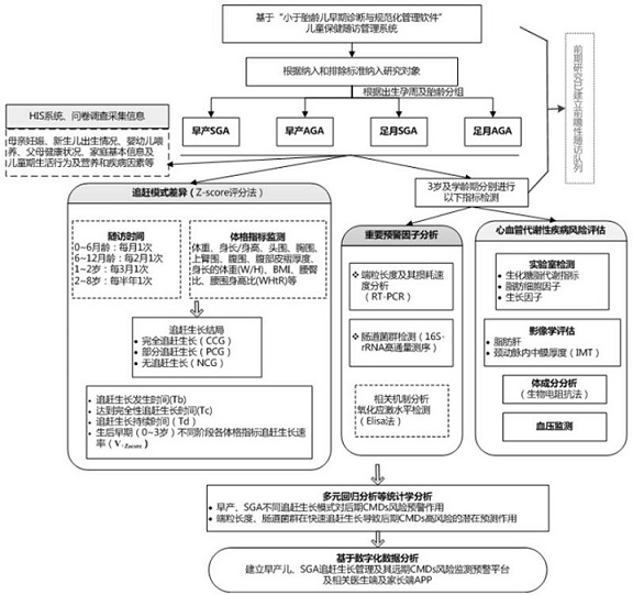 Premature infant and SGA catch-up growth management and CMDs risk early warning system thereof