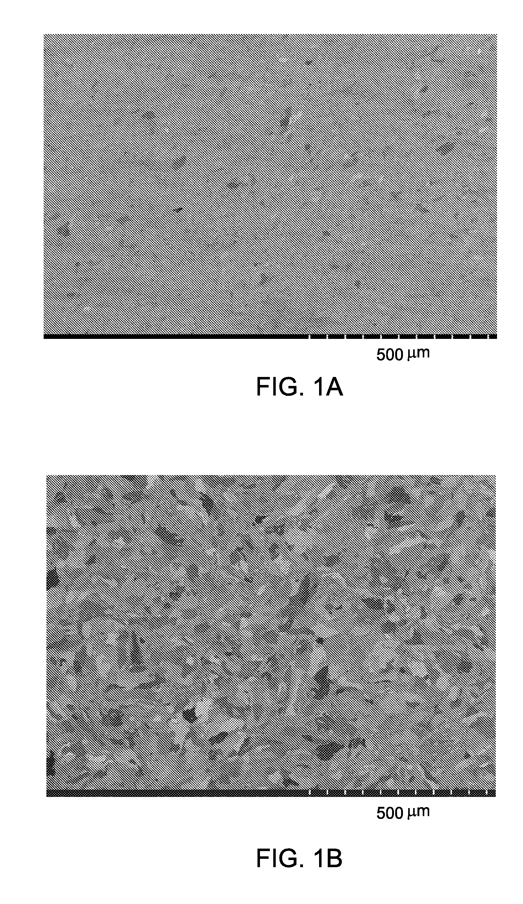 Methods for processing nanostructured ferritic alloys, and articles produced thereby