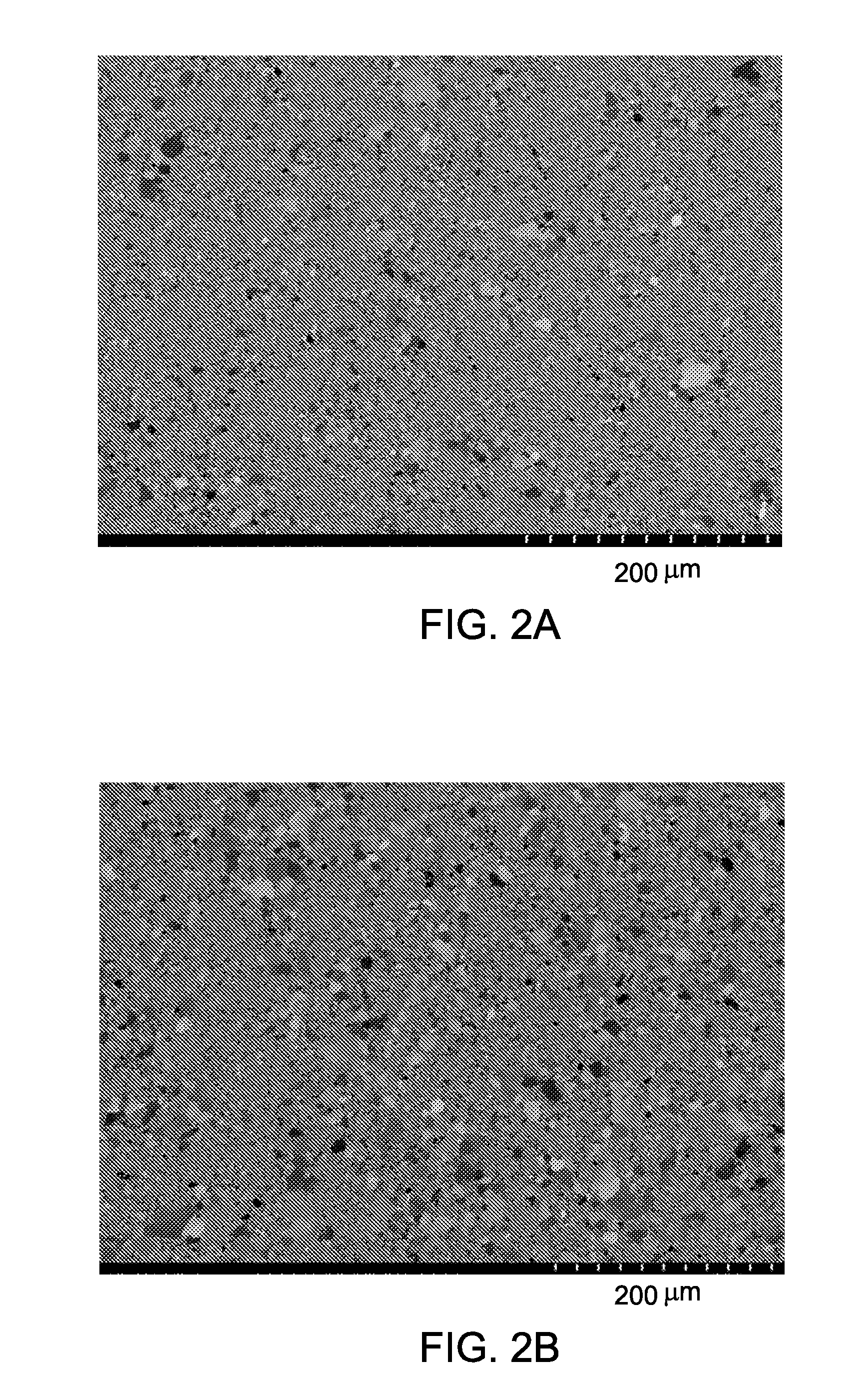 Methods for processing nanostructured ferritic alloys, and articles produced thereby