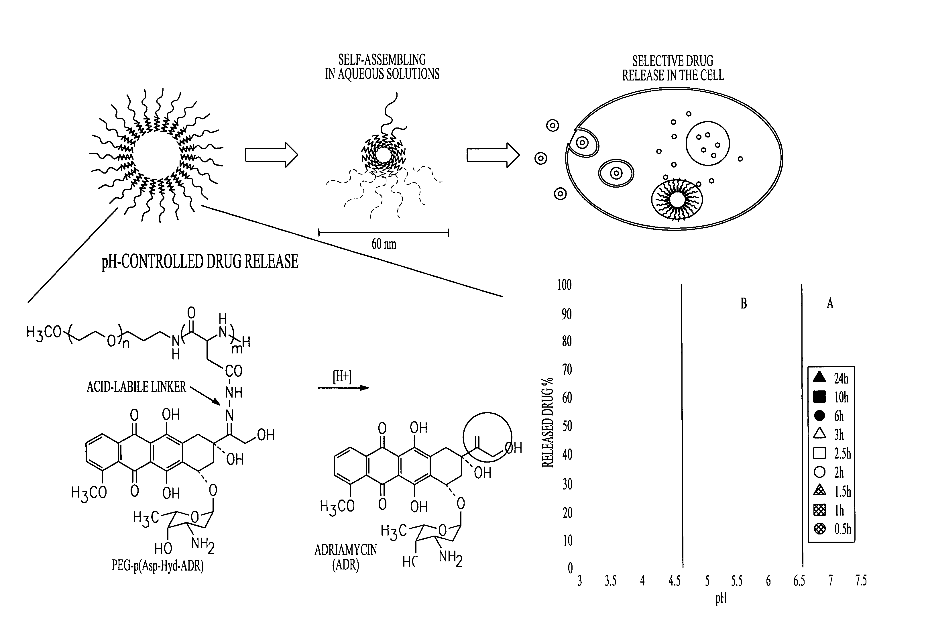 Polymeric micelles for combination drug delivery