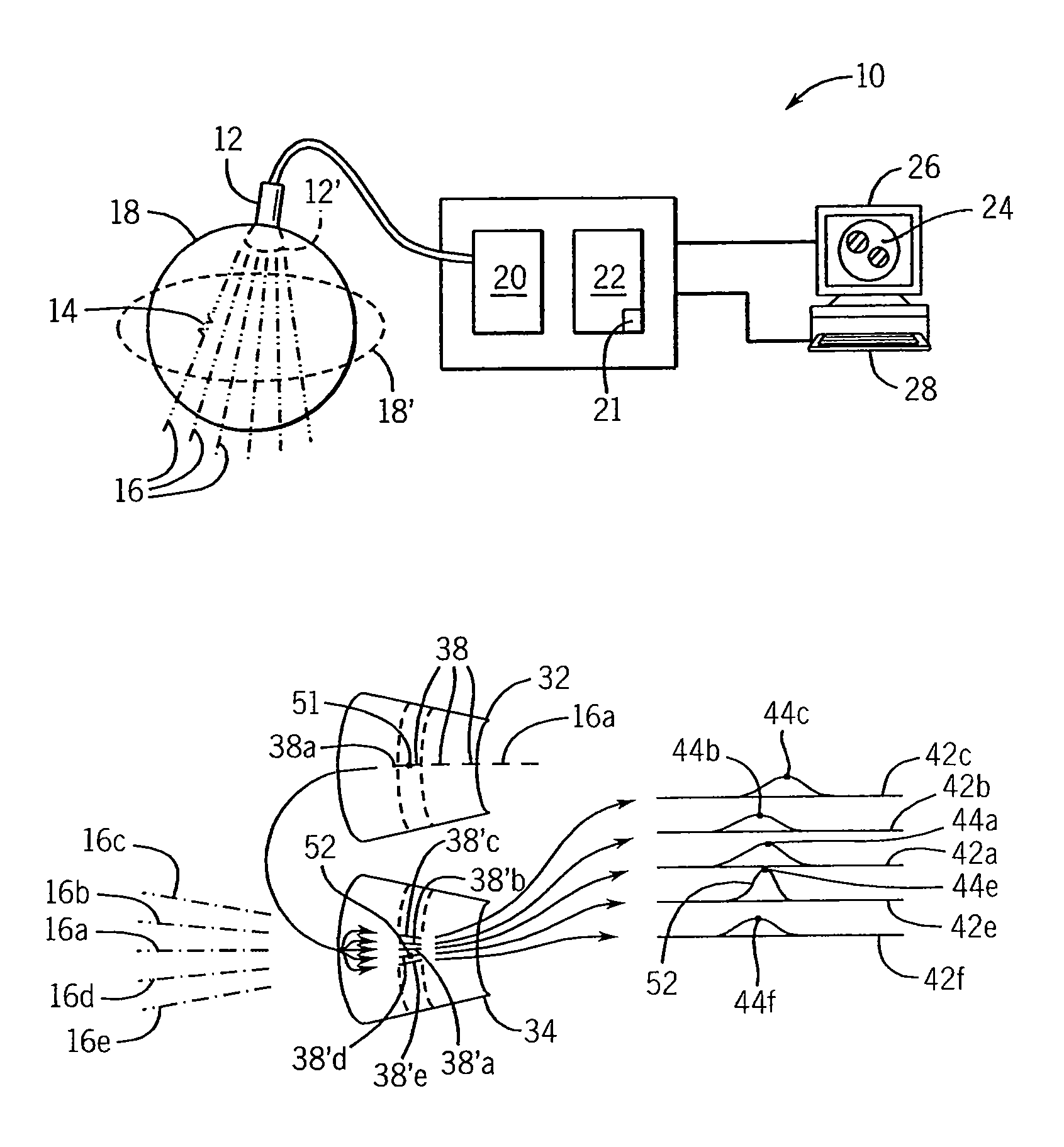 Rapid two/three-dimensional sector strain imaging