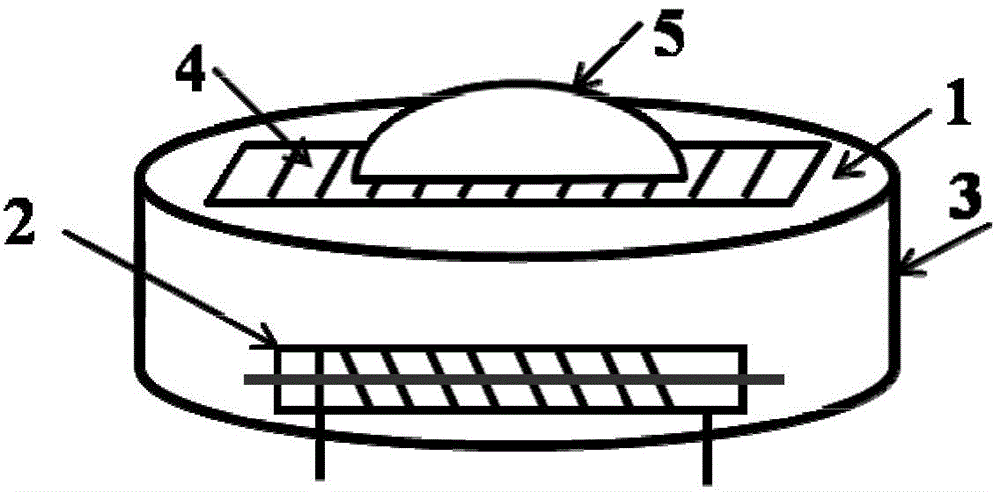 Sensor for detecting weak stress and preparation method of sensor