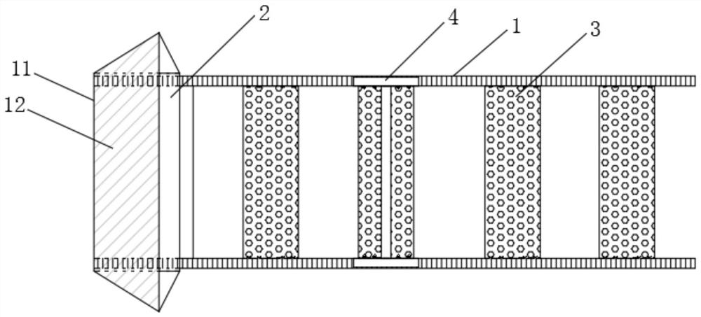 Ecological environment wetland protection device