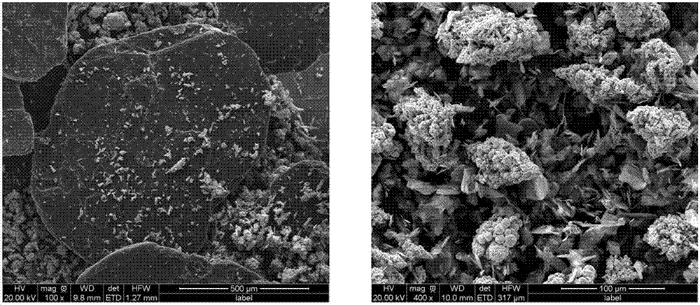 Directed graphite-copper composite material with superhigh thermal conductivity and high strength and preparation method and application thereof