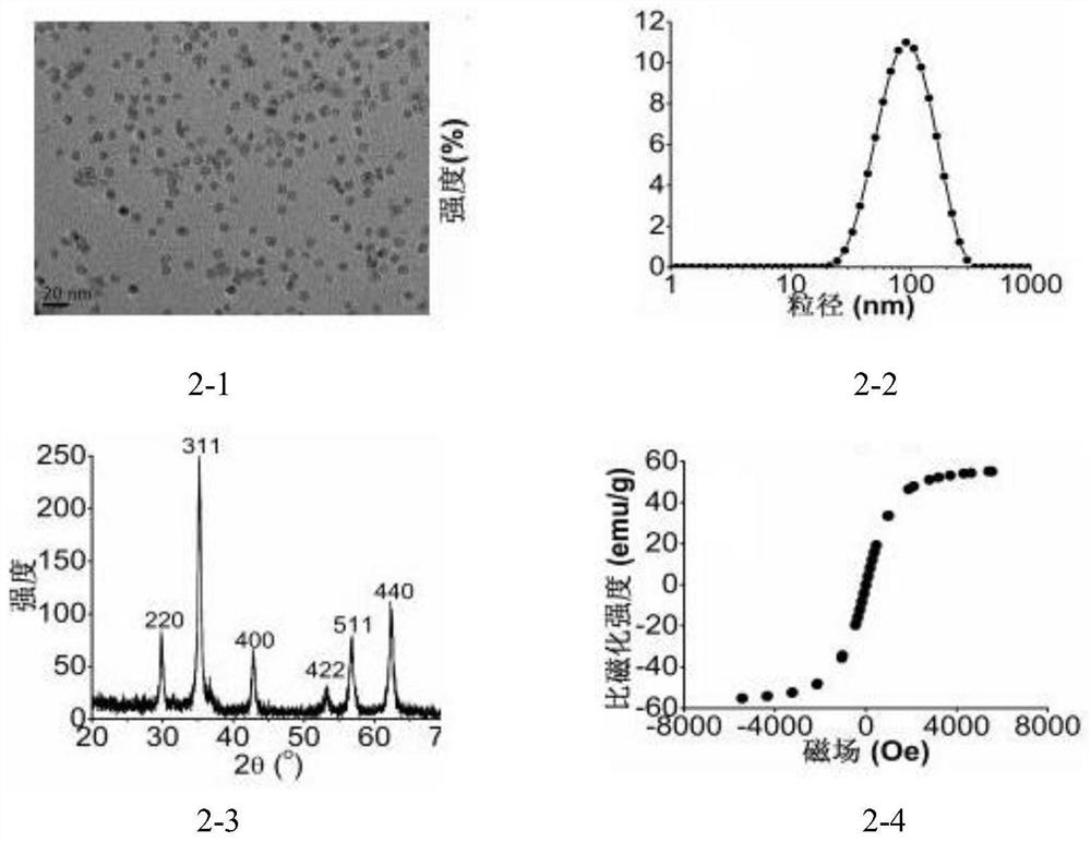 A Fluorescent Detection Method Using Nucleic Aptamers and Magnetic Materials to Detect Thrombin