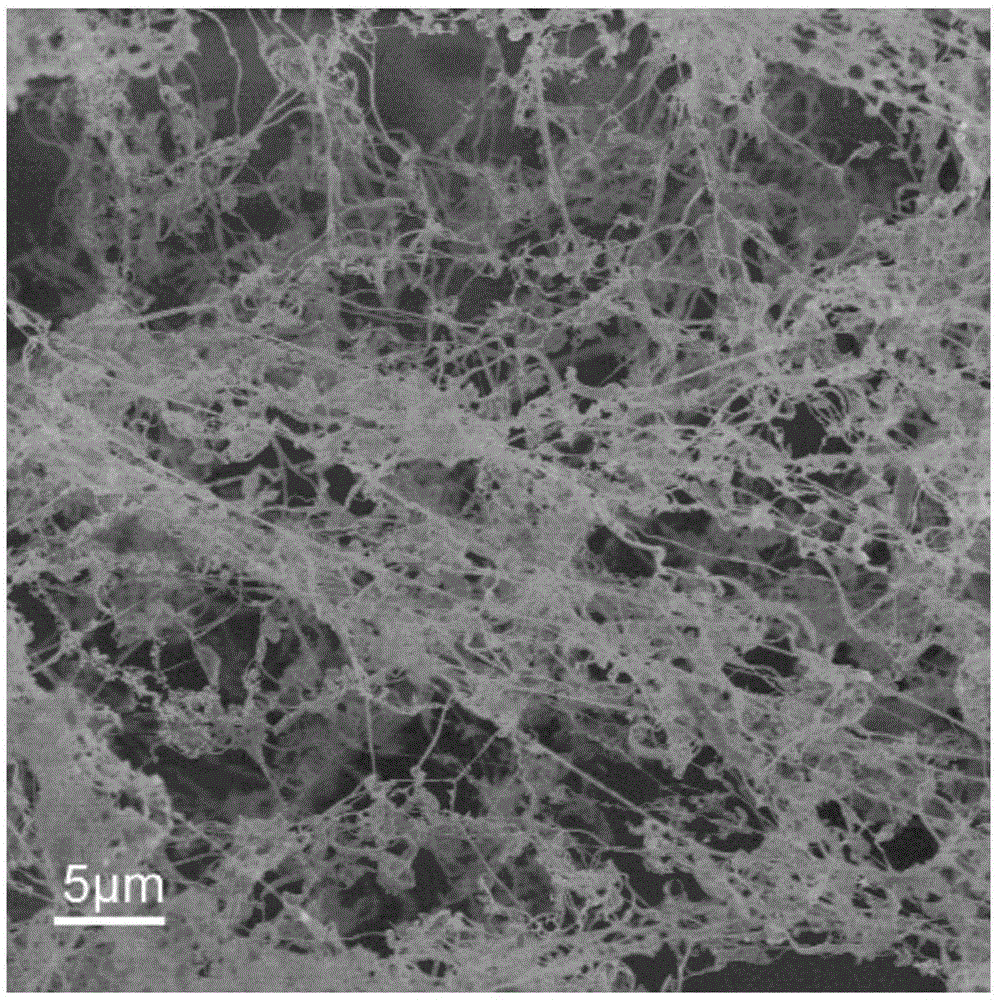 Preparing method for tobacco mosaic virus nanowire composite material with surface functionalized