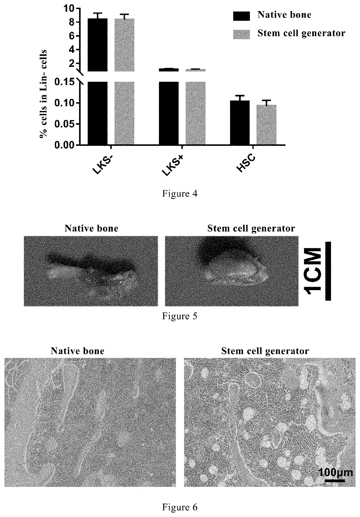 Use of stem cells produced by stem cell generator in treatment of hematopoietic damage