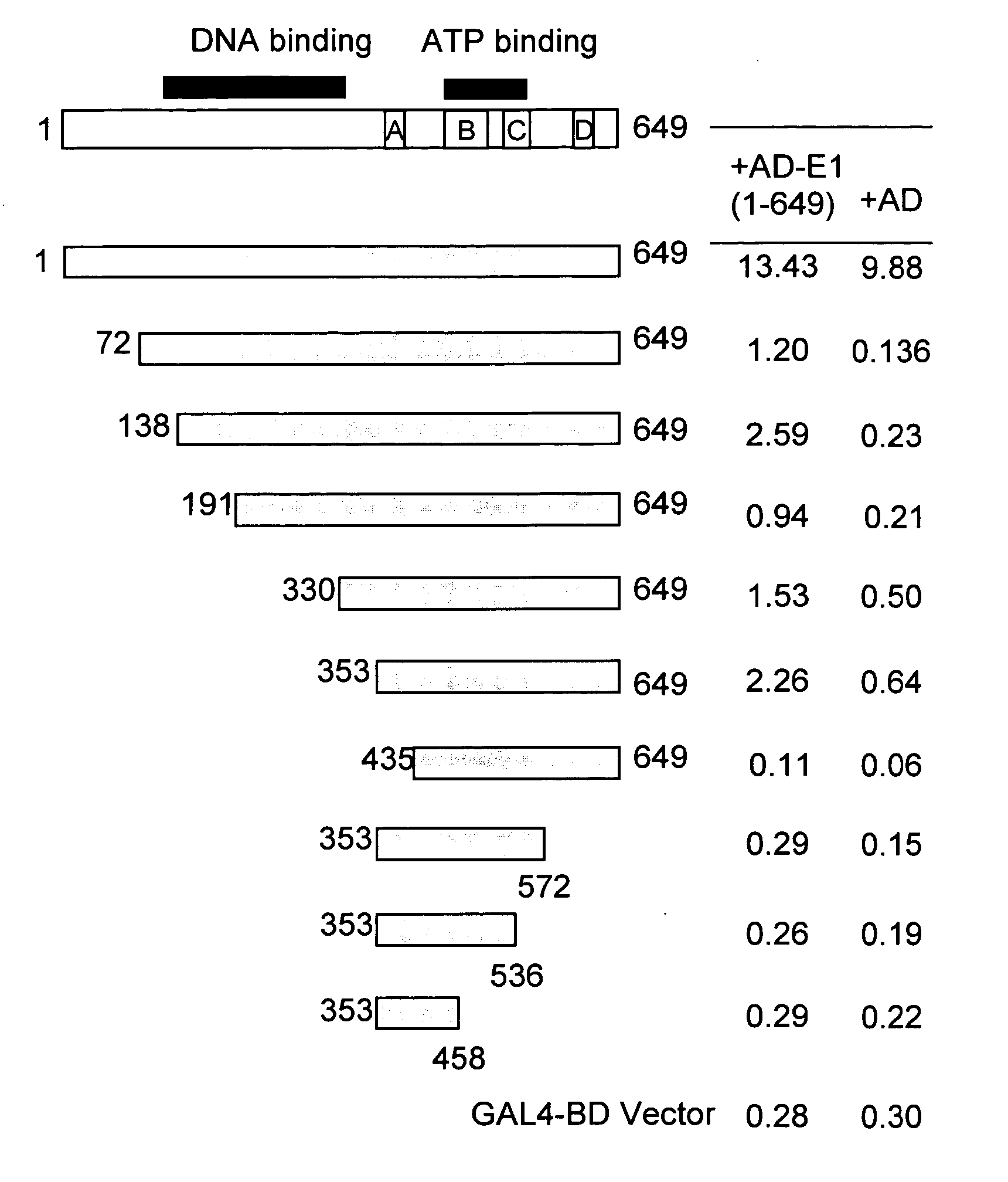 Regions of papilloma virus E1 helicase involved in E1 oligomerization