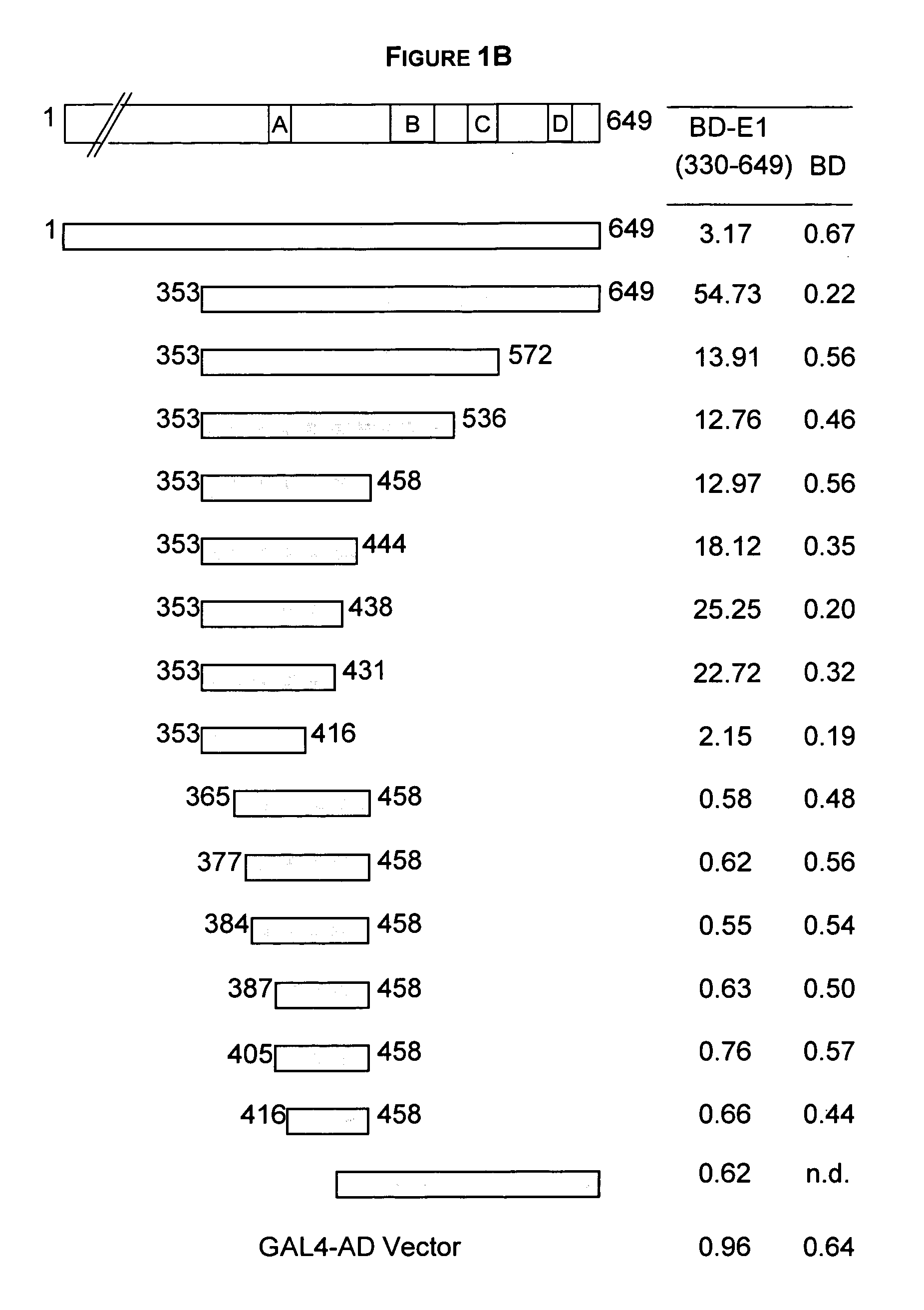 Regions of papilloma virus E1 helicase involved in E1 oligomerization