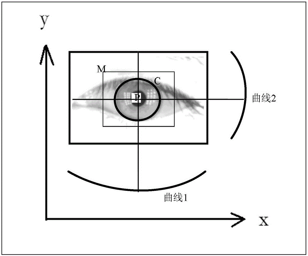 Sight positioning device