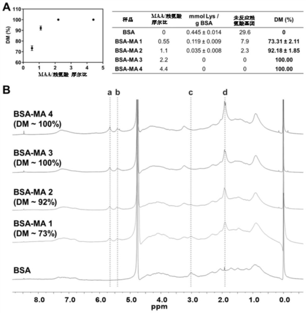 A preparation method of highly substituted albumin methacryloyl hydrogel for cell and tissue culture